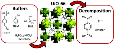 Graphical abstract: Metal–organic frameworks vs. buffers: case study of UiO-66 stability