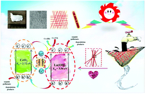 Graphical abstract: Free-standing and flexible 0D CeO2 nanodot/1D La(OH)3 nanofiber heterojunction net as a novel efficient and easily recyclable photocatalyst