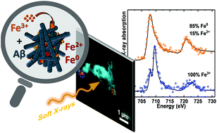 Graphical abstract: Nanoscale chemical speciation of β-amyloid/iron aggregates using soft X-ray spectromicroscopy