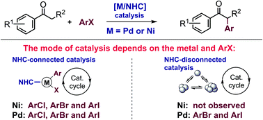 Graphical abstract: Different effects of metal-NHC bond cleavage on the Pd/NHC and Ni/NHC catalyzed α-arylation of ketones with aryl halides