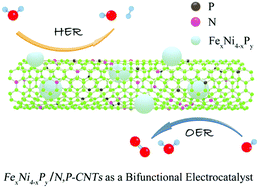Graphical abstract: An FexNi4−xPy/N, P co-doped carbon nanotube composite as a bifunctional electrocatalyst for oxygen and hydrogen electrode reactions