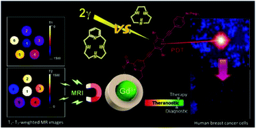 Graphical abstract: Design of polyazamacrocyclic Gd3+ theranostic agents combining magnetic resonance imaging and two-photon photodynamic therapy