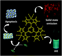 Graphical abstract: Aggregation enhances luminescence and photosensitization properties of a hexaiodo-BODIPY