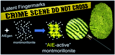 Graphical abstract: Development of AIEgen–montmorillonite nanocomposite powders for computer-assisted visualization of latent fingermarks