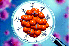 Graphical abstract: Silver nanoclusters: synthesis, structures and photoluminescence
