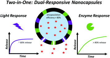 Graphical abstract: Nanocapsules with stimuli-responsive moieties for controlled release employing light and enzymatic triggers