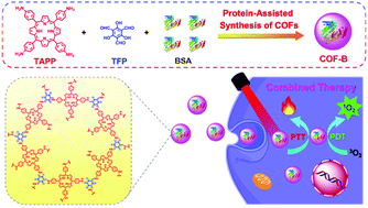 Graphical abstract: Protein-assisted synthesis of nanoscale covalent organic frameworks for phototherapy of cancer