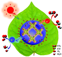 Graphical abstract: Synergetic effect of hollowrization and sulfonation on improving the photocatalytic performance of covalent porphyrin polymers in the reduction of CO2