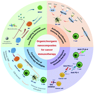 Graphical abstract: Organic/inorganic nanocomposites for cancer immunotherapy