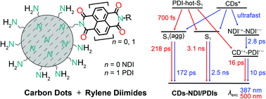 Graphical abstract: Synthesis and excited state processes of arrays containing amine-rich carbon dots and unsymmetrical rylene diimides