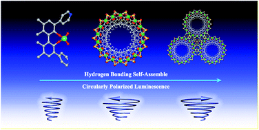 Graphical abstract: Supramolecular self-assembly of chiral helical tubular polymers with amplified circularly polarized luminescence