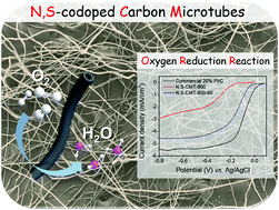 Graphical abstract: Biomass-derived nitrogen and sulfur co-doped carbon microtubes for the oxygen reduction reaction