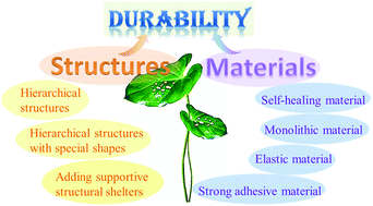 Graphical abstract: Recent advances in fabricating durable superhydrophobic surfaces: a review in the aspects of structures and materials