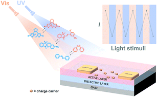 Graphical abstract: Multifunctional organic field effect transistors constructed with photochromic molecules