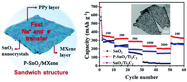 Graphical abstract: Ultrasmall SnO2 nanocrystals sandwiched into polypyrrole and Ti3C2Tx MXene for highly effective sodium storage
