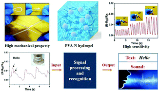 Graphical abstract: High-performance ionic conductive poly(vinyl alcohol) hydrogels for flexible strain sensors based on a universal soaking strategy