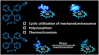 Graphical abstract: Cyano-containing tetraphenylethene isomers: similar bright mechanoluminescence, but diverse recoverable processes