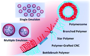 Graphical abstract: Polymers with advanced architectures as emulsifiers for multi-functional emulsions