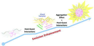 Graphical abstract: Host–guest interaction-induced emission enhancement of amphiphilic AIEgens: a computational study