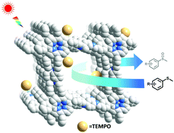 Graphical abstract: A 2D porphyrin-based covalent organic framework with TEMPO for cooperative photocatalysis in selective aerobic oxidation of sulfides
