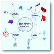 Graphical abstract: Advances in biomedical applications of self-healing hydrogels