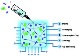 Graphical abstract: Hydrogel-derived luminescent scaffolds for biomedical applications