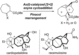 Graphical abstract: Synthesis of tricyclo[7.2.1.09,10]dodecan-11-one core ring systems of norditerpenoid alkaloids and racemulosine