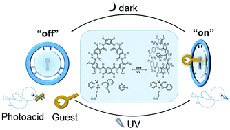 Graphical abstract: Light-controlled switchable complexation by a non-photoresponsive hydrogen-bonded amide macrocycle