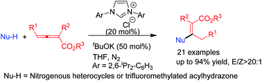 Graphical abstract: NHC-catalyzed β-specific addition of N-based nucleophiles to allenoates