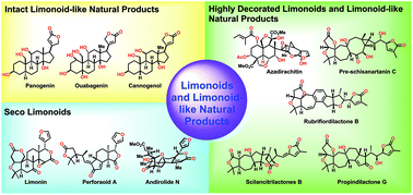 Graphical abstract: Recent progress in the synthesis of limonoids and limonoid-like natural products