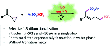 Graphical abstract: Organocatalytic 1,5-trifluoromethylthio-sulfonylation of vinylcyclopropane mediated by visible light in the water phase