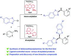 Graphical abstract: Ligand-controlled palladium catalysis enables switch between mono- and di-arylation of primary aromatic amines with 2-halobenzothiazoles