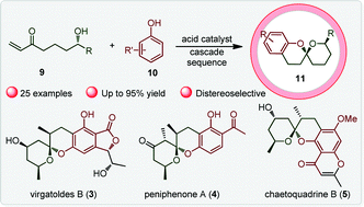 Graphical abstract: Diastereoselective construction of the benzannulated spiroketal core of chaetoquadrins enabled by a regiodivergent cascade