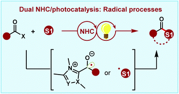 Graphical abstract: Dual N-heterocyclic carbene/photocatalysis: a new strategy for radical processes