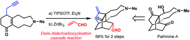 Graphical abstract: An approach towards the construction of the tetracyclic skeleton of palhinine alkaloids