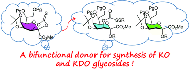 Graphical abstract: (2-Ketulosonyl)onate 2,3-O-thionocarbonate donors for the synthesis of KO and KDO α-glycosides and a one-pot glycosylation method for 2-keto acid donors