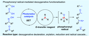 Graphical abstract: Recent advances in phosphoranyl radical-mediated deoxygenative functionalisation