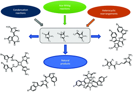 Graphical abstract: The preparation of (4H)-imidazol-4-ones and their application in the total synthesis of natural products
