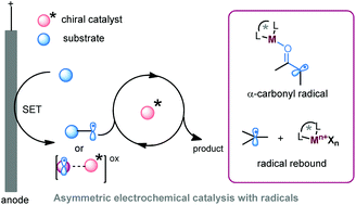 Graphical abstract: Tailoring radicals by asymmetric electrochemical catalysis