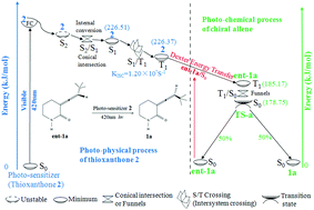 Graphical abstract: Theoretical survey of the photochemical deracemization mechanism of chiral allene 3-(3,3-dimethyl-1-buten-1-ylidene)-2-piperidinone