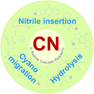 Graphical abstract: Nitriles as radical acceptors in radical cascade reactions