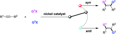 Graphical abstract: Ni-Catalyzed stereoselective difunctionalization of alkynes