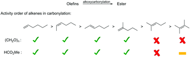 Graphical abstract: Palladium-catalyzed carbonylations of highly substituted olefins using CO-surrogates