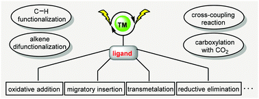 Graphical abstract: An electrochemical perspective on the roles of ligands in the merger of transition-metal catalysis and electrochemistry
