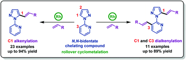 Graphical abstract: Rh(iii)-Catalyzed switchable C–H monoalkenylation and dialkenylation of 2-(1H-pyrazol-1-yl)pyridine with alkenes via rollover cyclometalation