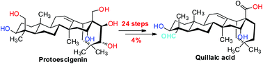 Graphical abstract: Chemical synthesis of quillaic acid, the aglycone of QS-21