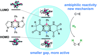 Graphical abstract: Diazadiborinine as an ambiphilic catalyst for metal-free hydrogenation: a computational study on the structural design and reaction mechanism