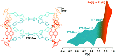 Graphical abstract: A self-assembled tetrathiafulvalene box