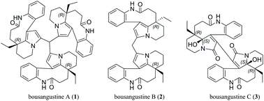Graphical abstract: Symmetric cytotoxic trimeric and dimeric indole alkaloids isolated from Bousigonia angustifolia