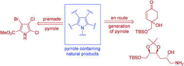 Graphical abstract: Recent progress in the total synthesis of pyrrole-containing natural products (2011–2020)